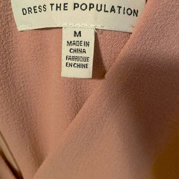 Dress the Population Sandra V Neck Gown: Blush - Picture 5 of 9